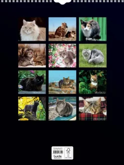 Burde Seinakalenteri 2024 Kissat