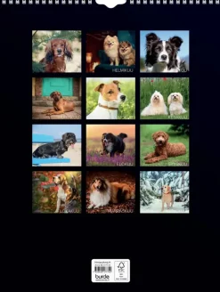 Burde Seinakalenteri 2024 Koirat
