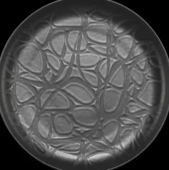 House Lautanen Capri 19 Cm