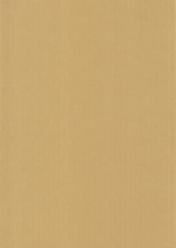 Karto Kartonki A4 220Gsm Beige 5Ark/Pss
