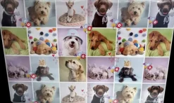 Kirjoitusalusta 40 X 60 Cm