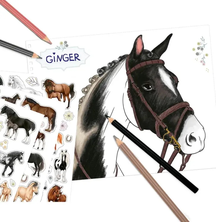 Miss Melody Varityskirja