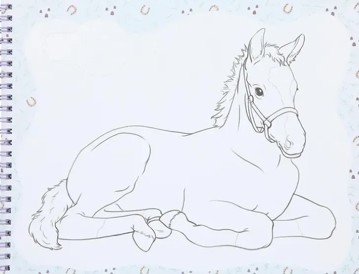 Miss Melody Varityskirja