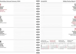 Poytakalenteri Diario Horizontal, Petrooli