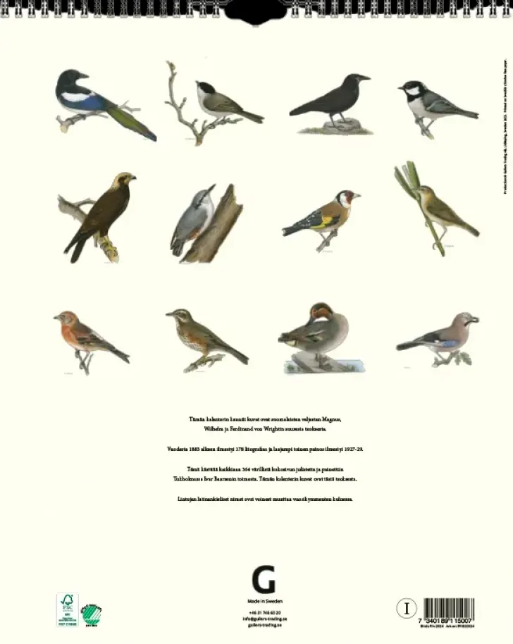 Seinakalenteri Linnut Von Wright 2024