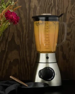 Wilfa Tehosekoitin Xplode Vital Bblsp-1800S, 1,8 Litraa, 1800W, 5 Vuoden Moottoritakuu